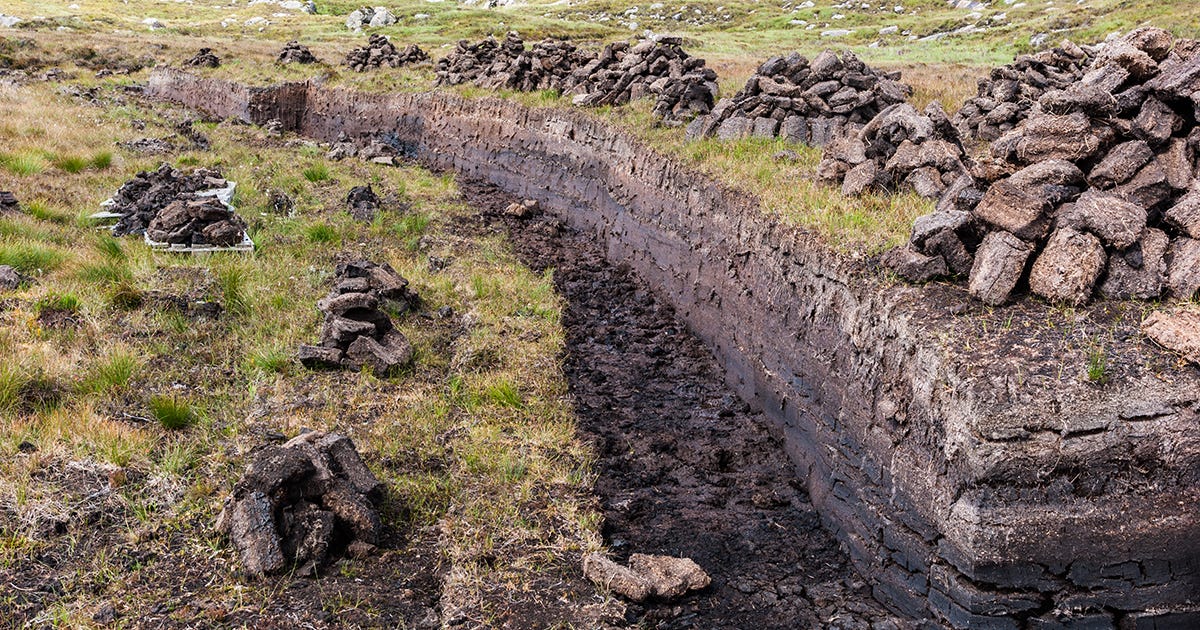 The Whisky Club's Guide to Peated Whisky