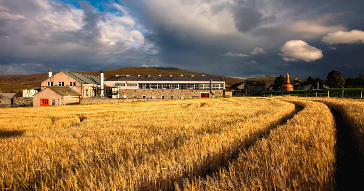 The Whisky Club's Guide to Whiskymaking Ingredients